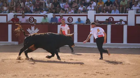 Concurso Nacional de Cortes en Zamora_25