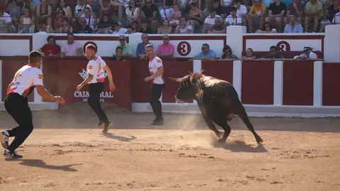 Concurso Nacional de Cortes en Zamora_27