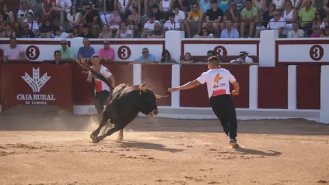 Concurso Nacional de Cortes en Zamora_28