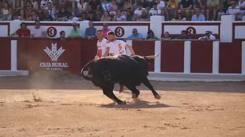 Concurso Nacional de Cortes en Zamora_29