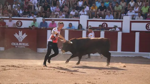 Concurso Nacional de Cortes en Zamora_30