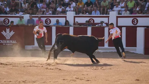 Concurso Nacional de Cortes en Zamora_32