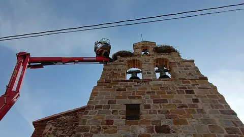 bomberos  rescatan en Entrala una cigüeña muerta atrapada en su nido