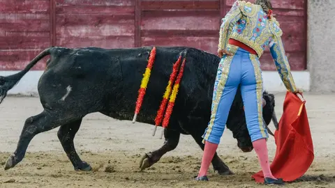 ledesma toros (1)
