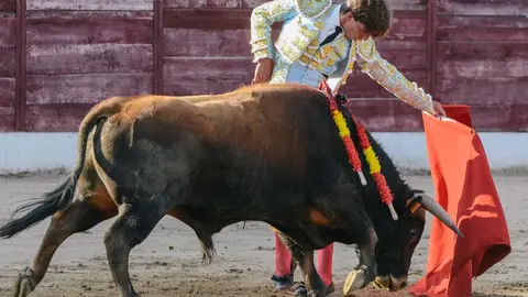 ledesma toros (4)