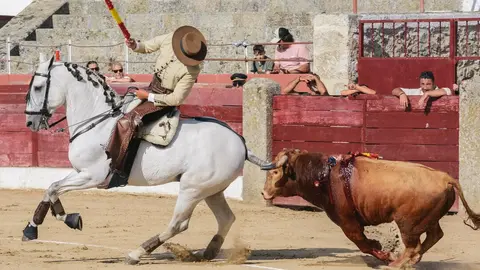 ledesma toros (5)