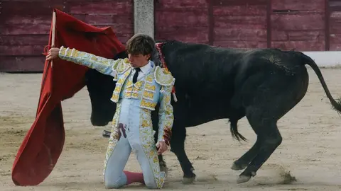 ledesma toros (8)