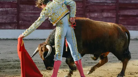 ledesma toros (9)