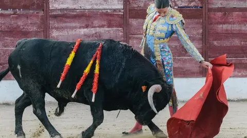 ledesma toros (11)
