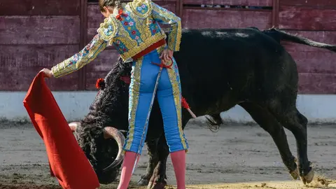 ledesma toros (13)