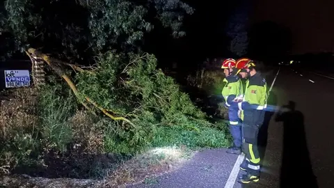 Bomberos retiran rama Zamora-La Hiniesta