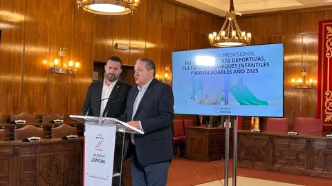 Diputación de Zamora, Javier Faúndez