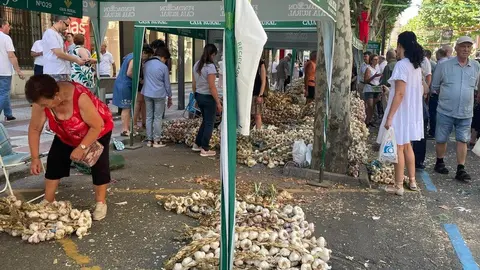 feria del ajo Zamora 2025