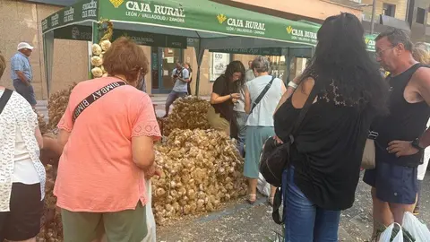 feria del ajo Zamora 2025_8