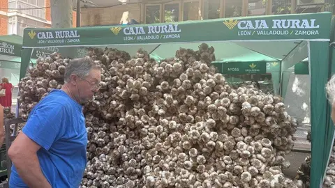 feria del ajo Zamora 2025_9
