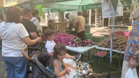 feria del ajo Zamora 2025_15