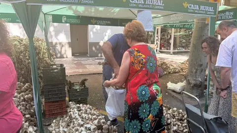 feria del ajo Zamora 2025_16