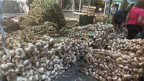 feria del ajo Zamora 2025_17