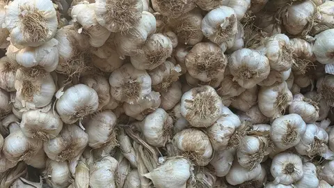 feria del ajo Zamora 2025_18