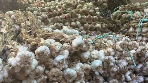 feria del ajo Zamora 2025_19