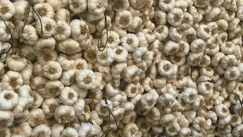 feria del ajo Zamora 2025_20