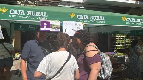 feria del ajo Zamora 2025_22