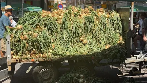 feria del ajo Zamora 2025_45