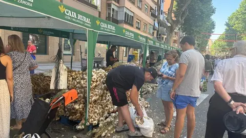 feria del ajo Zamora 2025_46