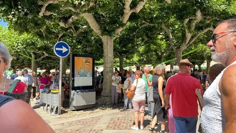 Pasacalles Folklore Tradymupo_9