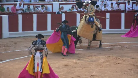 toros  y piraguas _126