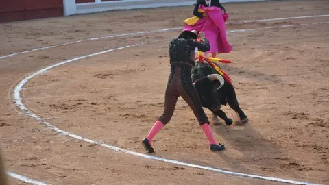 toros  y piraguas _131