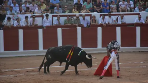 toros  y piraguas _138