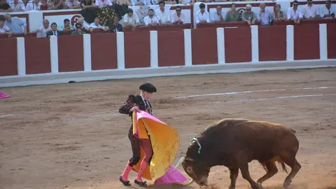 toros  y piraguas _139