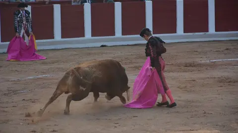 toros  y piraguas _140
