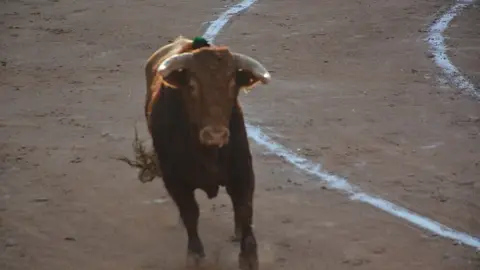 toros  y piraguas _142