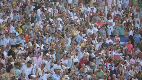 toros  y piraguas _147