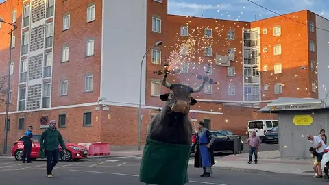 Pasacalles Gigantes y Cabezudos Capitonis Durii_5