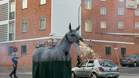 Pasacalles Gigantes y Cabezudos Capitonis Durii_8