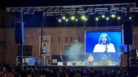 José Mercé concierto flamenco catedral_5