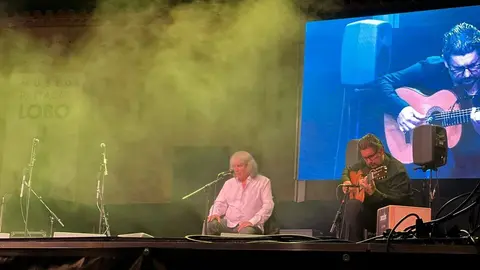 José Mercé concierto flamenco catedral_6