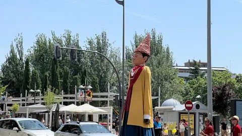 Pasacalles de gigantes y gigantillas _12