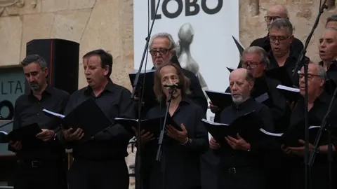Concierto Alollano San Pedro_4
