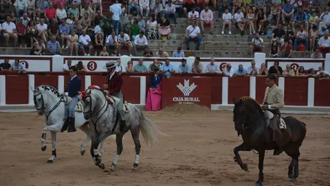 rejrejones zamora 2025 _16