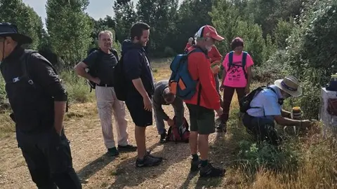 Equipo de trabajo de señalizacion