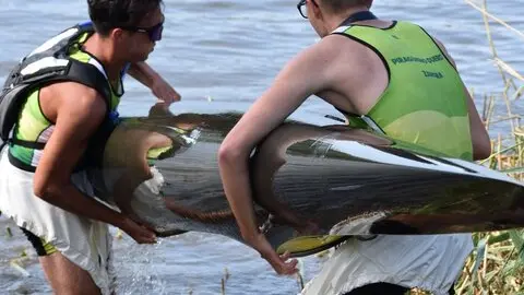 48º Descenso Ibérico del Duero