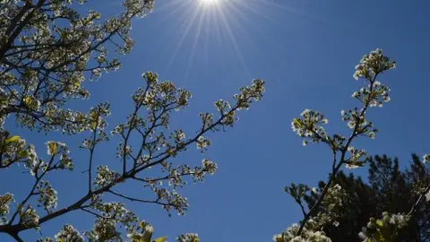 Sol, foto de archivo