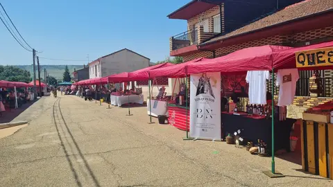 XXXIV Día de la Comarca en Ferreras de Abajo. imagen cedida (8)