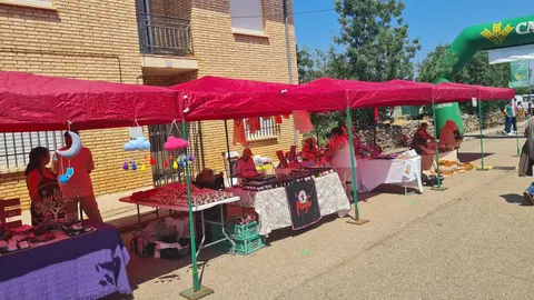 XXXIV Día de la Comarca en Ferreras de Abajo. imagen cedida (12)