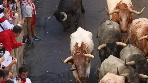 toros san fermín