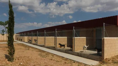 Nuevo centro de Protección Animal en Zamora